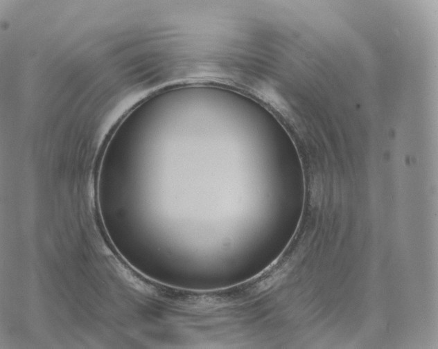 X0000072961420200608111639