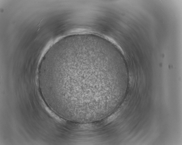 X0000072961421200608111639