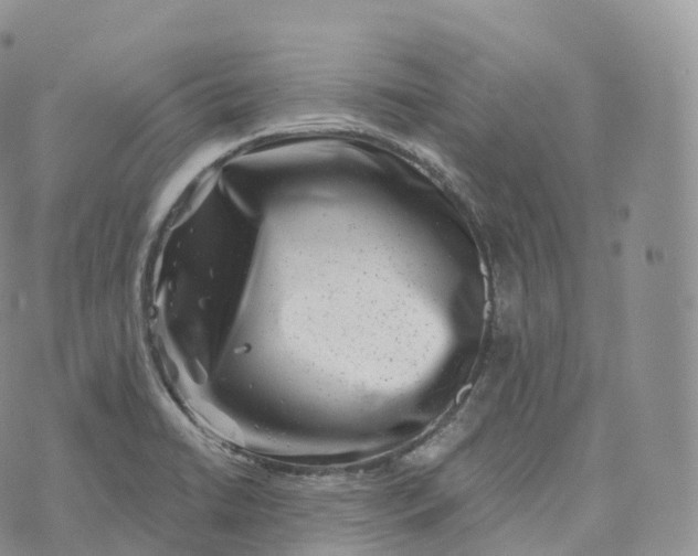 X0000072961422200608111639