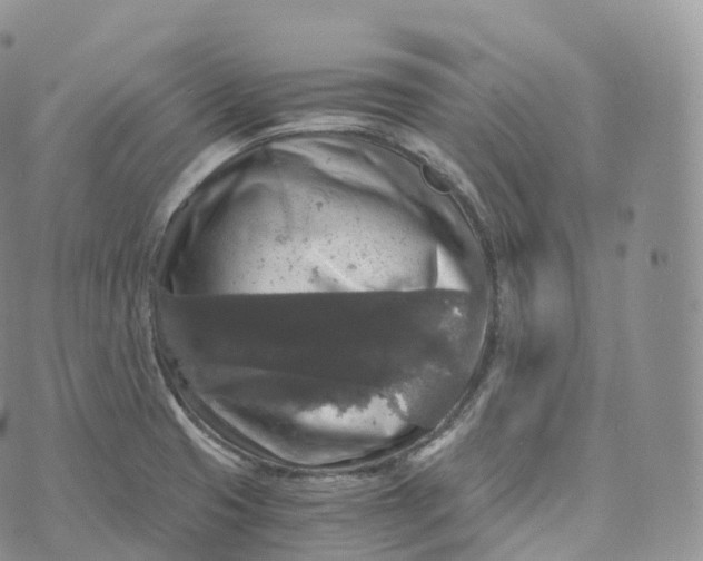 X0000072961425200608111639