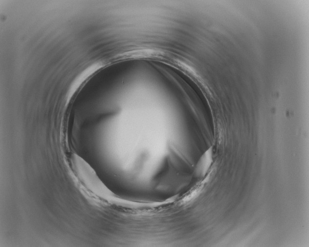 X0000072961426200608111640