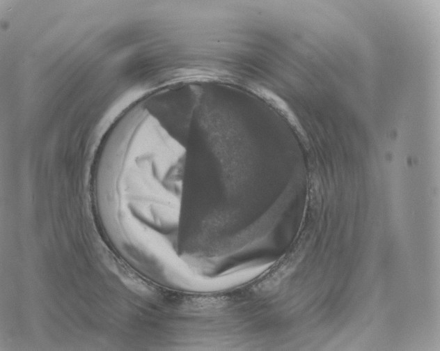 X0000072961427200608111640