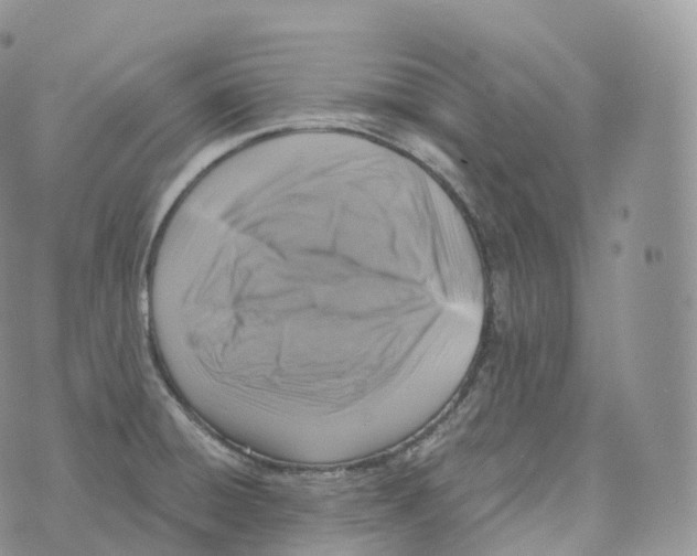 X0000072961428200608111640