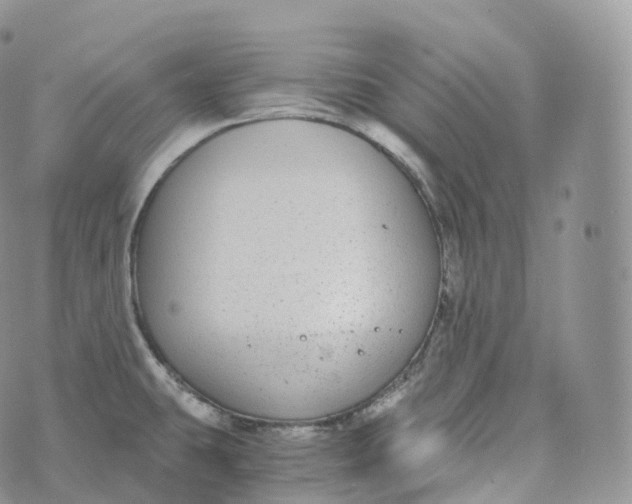 X0000072961431200608111640