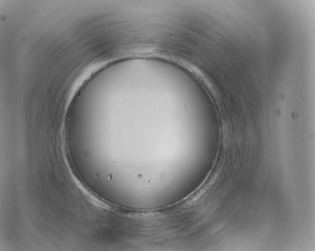 X0000072961432200608111640