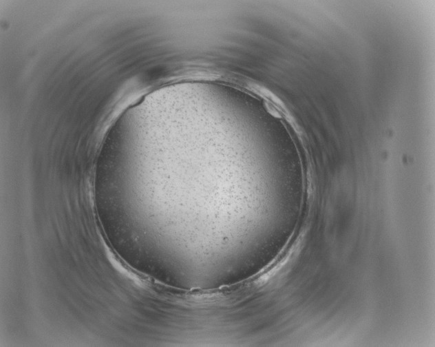 X0000072961433200608111640