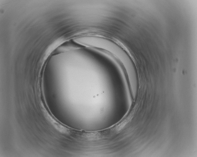 X0000072961434200608111640