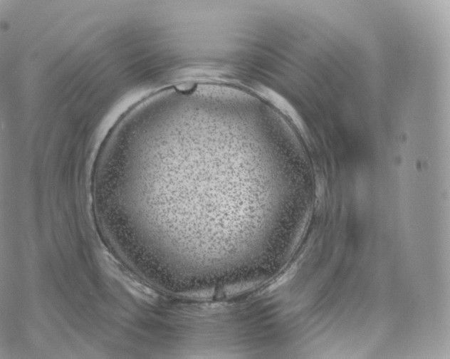 X0000072961435200608111640