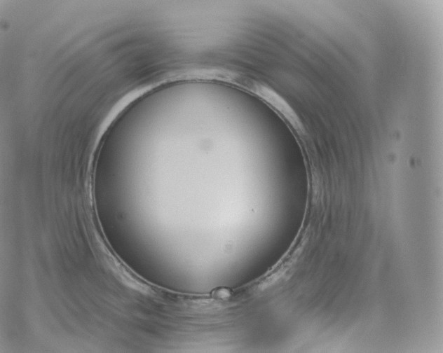 X0000072961436200608111640