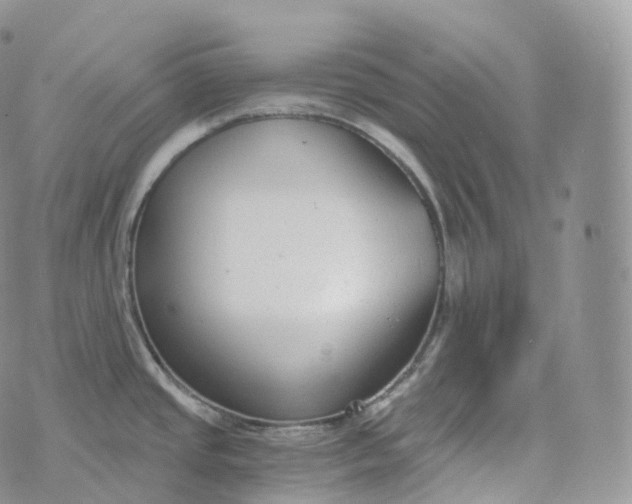 X0000072961437200608111640