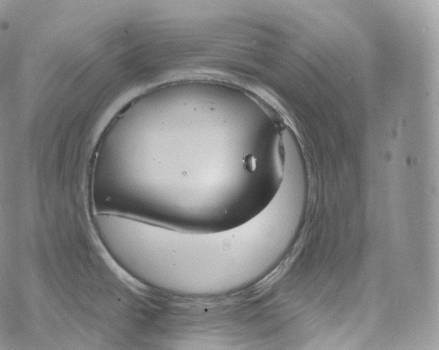 X0000072961438200608111640