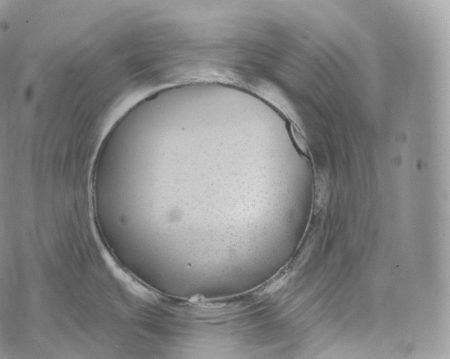 X0000072961439200608111640