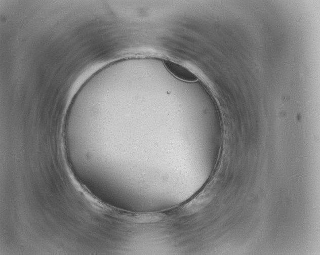 X0000072961440200608111640