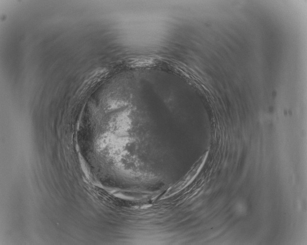 X0000072961441200608111639