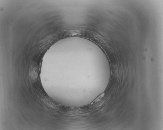 X0000072961442200608111639