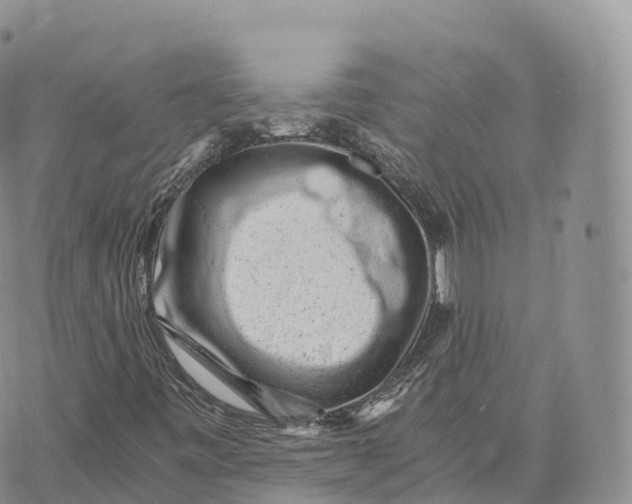 X0000072961443200608111639