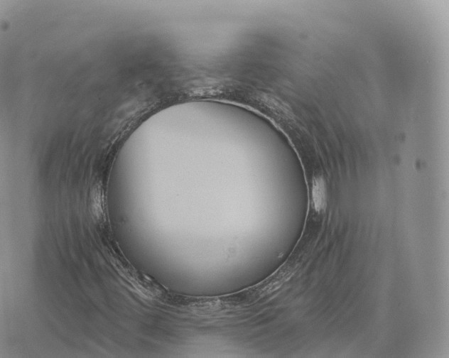 X0000072961444200608111639