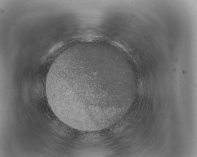 X0000072961446200608111639