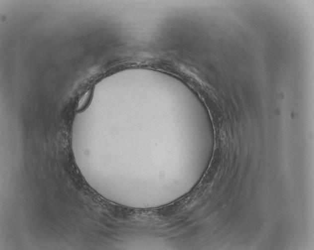 X0000072961447200608111639