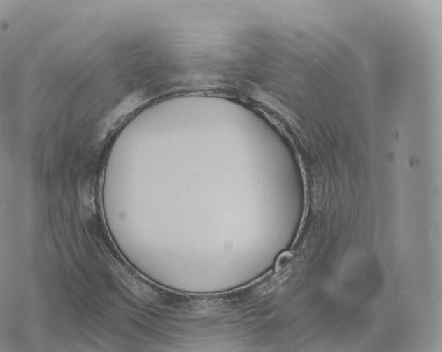 X0000072961451200608111639