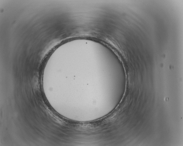 X0000072961452200608111639