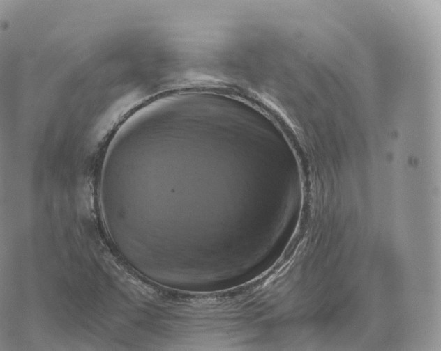 X0000072961455200608111639