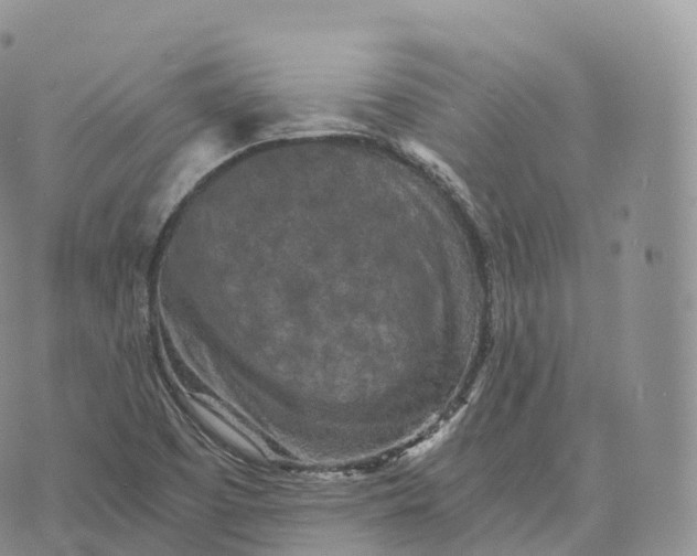 X0000072961457200608111639