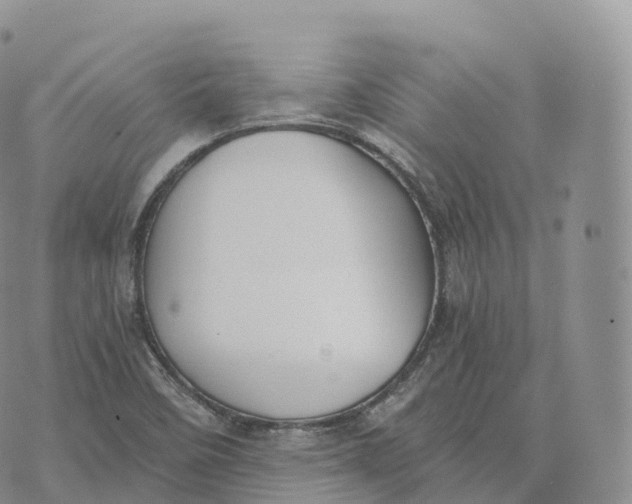 X0000072961458200608111639