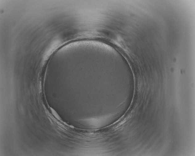 X0000072961459200608111639