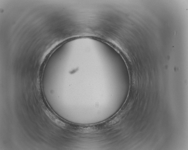 X0000072961460200608111639