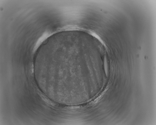 X0000072961461200608111639