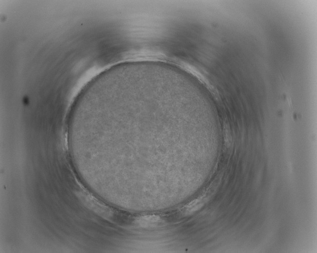 X0000072961462200608111639