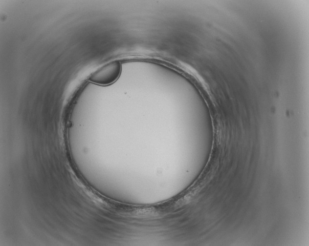 X0000072961464200608111639