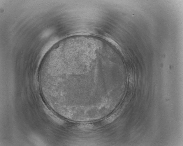 X0000072961466200608111639