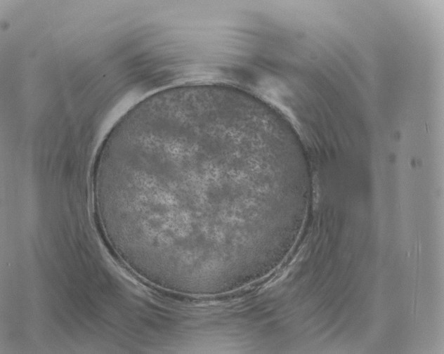 X0000072961467200608111639