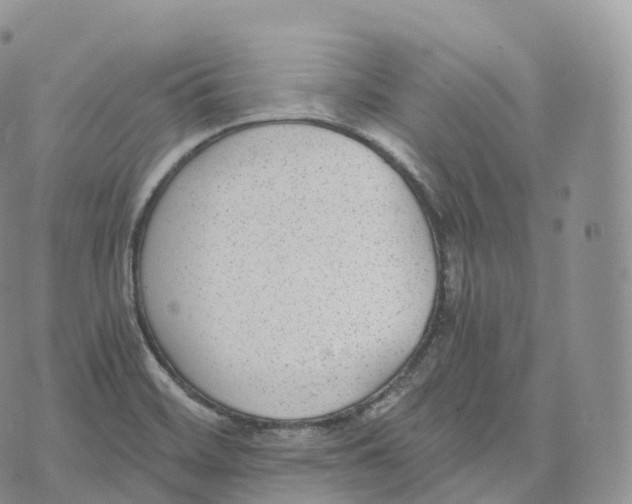 X0000072961468200608111639