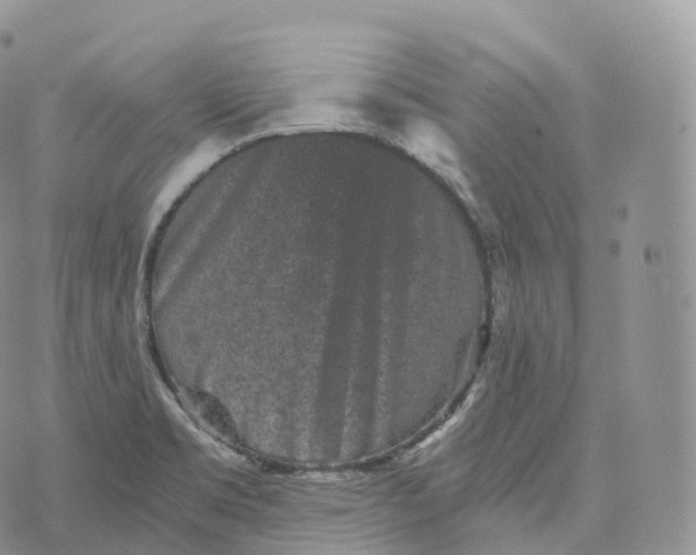 X0000072961469200608111638