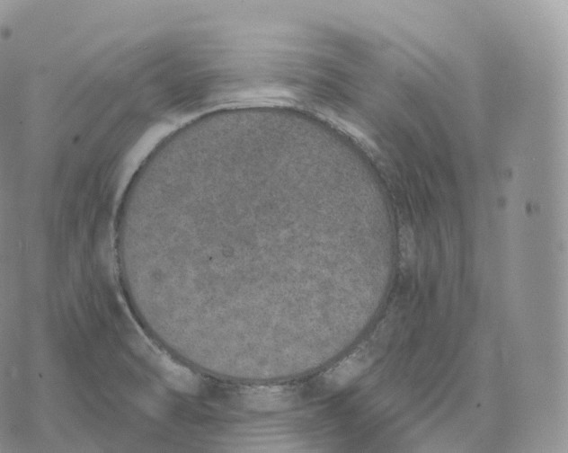 X0000072961470200608111638