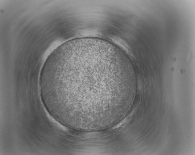 X0000072961471200608111638