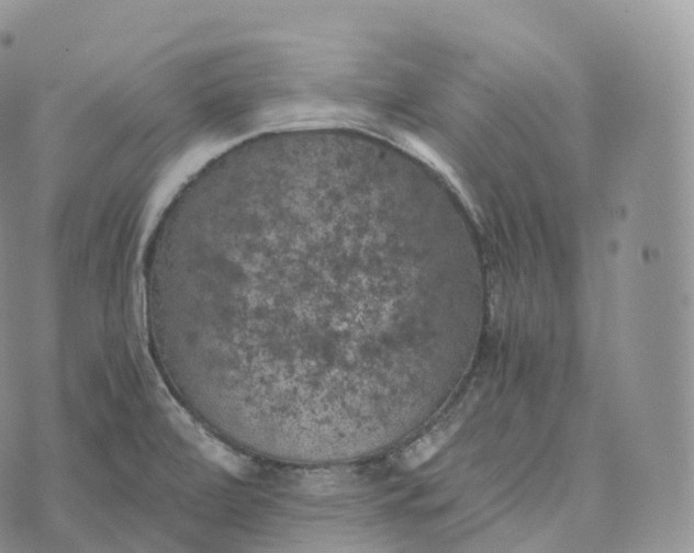 X0000072961472200608111638