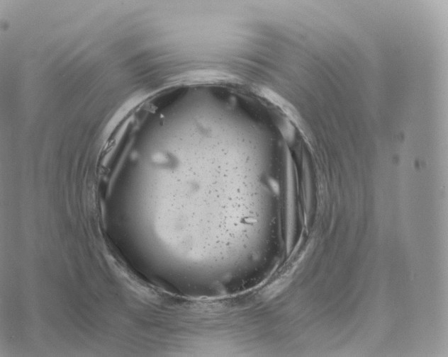 X0000072961473200608111638