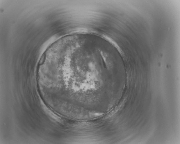 X0000072961475200608111638