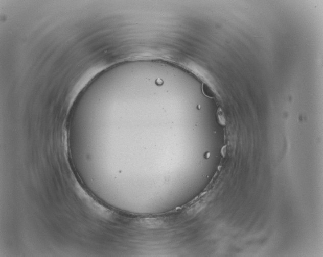 X0000072961476200608111638