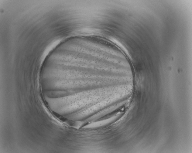 X0000072961477200608111638