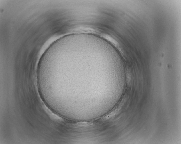 X0000072961478200608111638