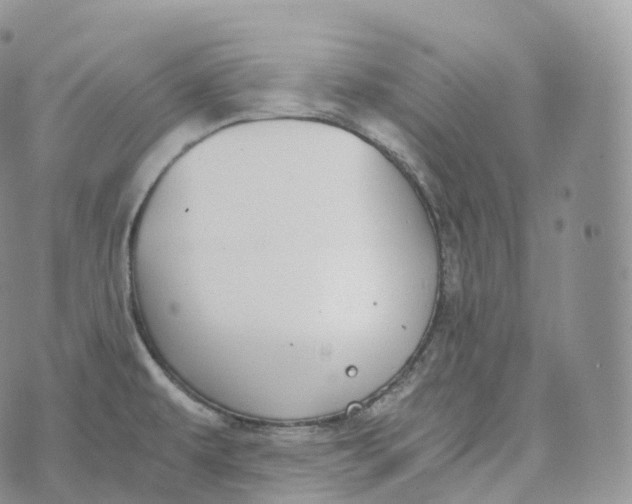 X0000072961479200608111638