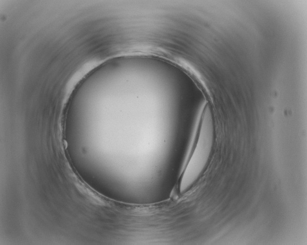 X0000072961480200608111638