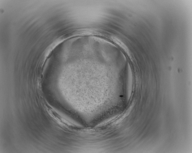 X0000072961481200608111638