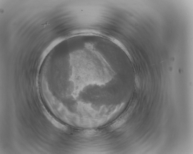 X0000072961482200608111638