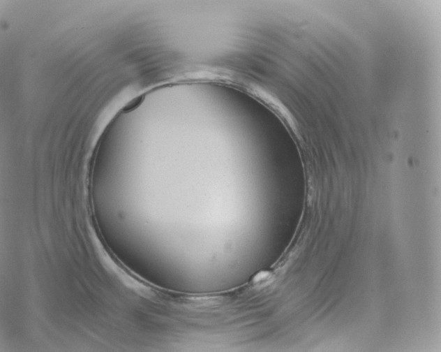 X0000072961483200608111638